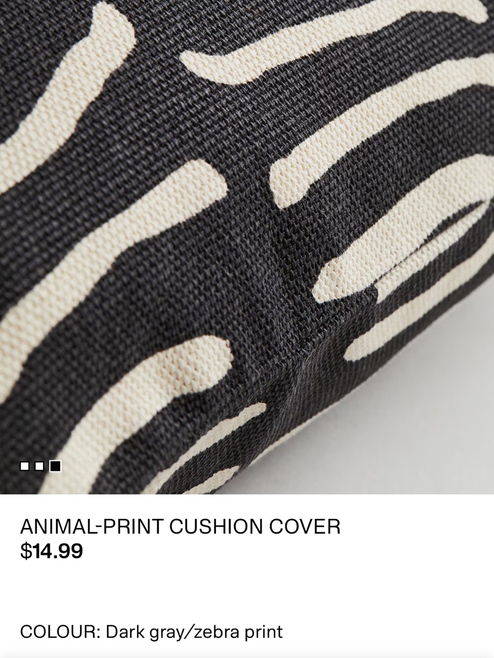 2x H&M Home Zebra-Print 20”x20” Throw Pillow Cover - Picture 4 of 5